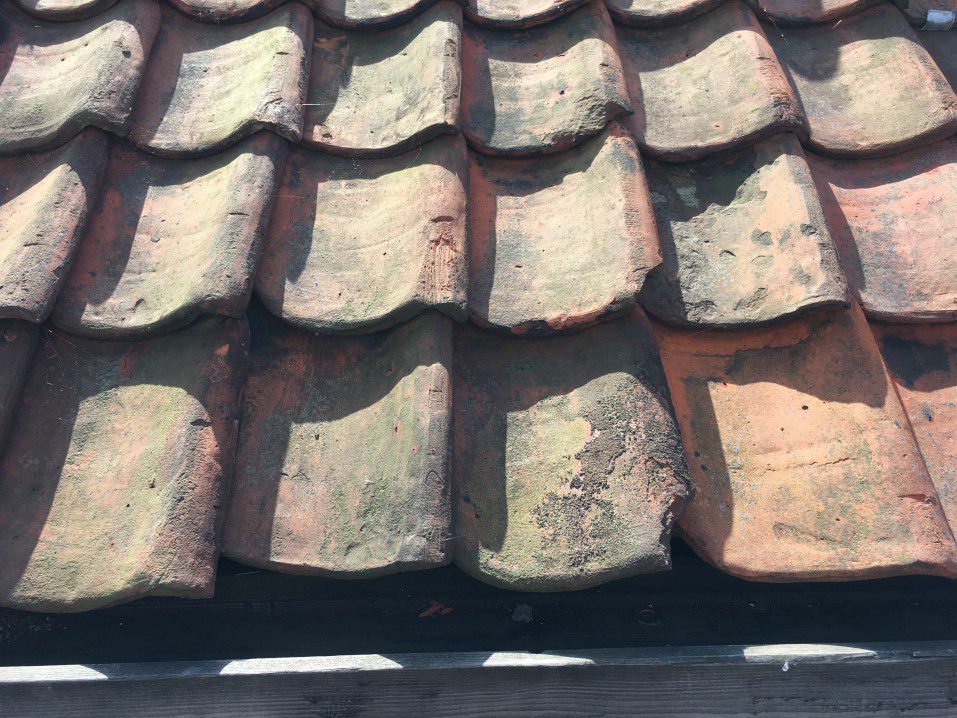 An old roof in need of some new shingles
