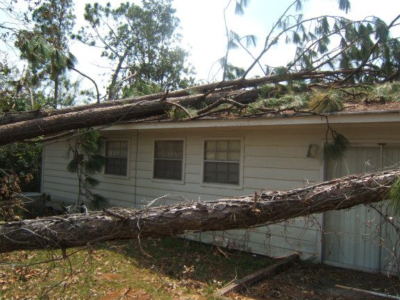 Trees falling on a roof would cause significant damage