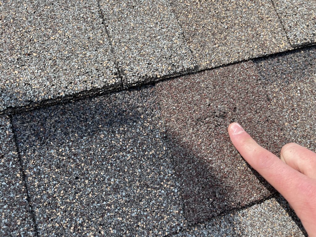 an image of a shingle with granule loss caused by hail