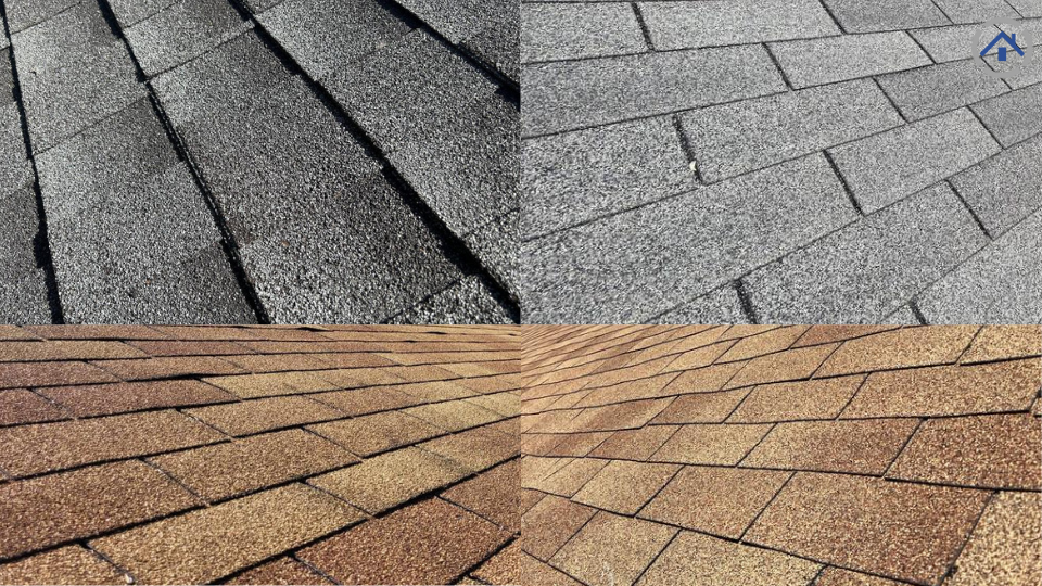  shingles are getting old - Wisconsin-Modern exterior