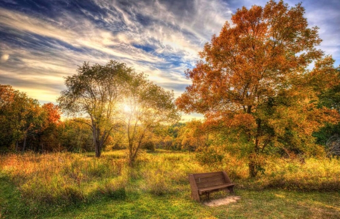  Retzer Nature Center