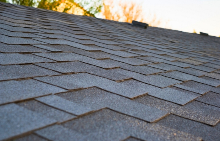 Asphalt shingle roof