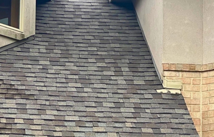 new shingles