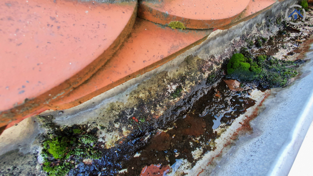 Signs Your Gutters Need Immediate Attention