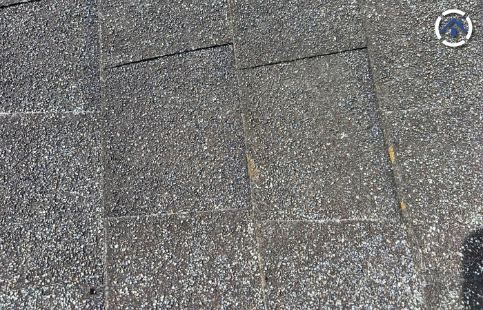 What Does Granule Loss Look Like? Here is an asphalt shingle roof showing significant granule loss