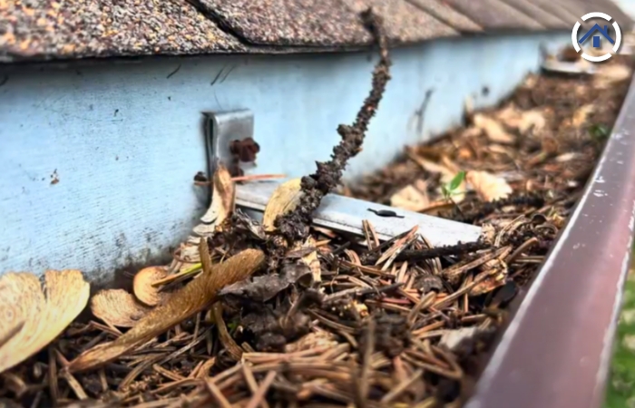 An old gutter severely clogged by helicopters