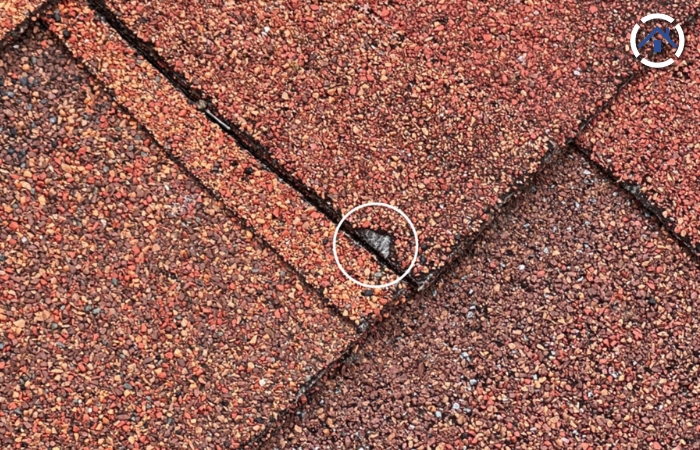 Exposed fiber glass matting on an asphalt shingle roof