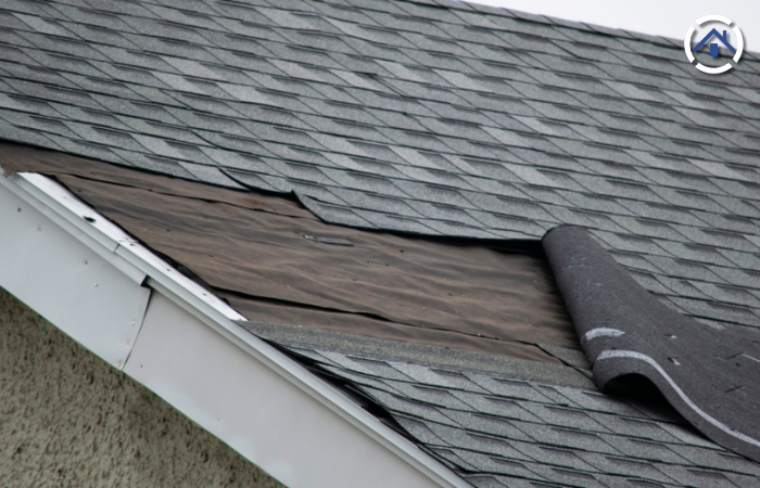 Lifted and damaged shingles