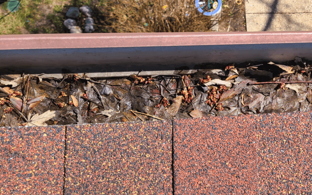 BLOG-How-to-Clean-Your-Gutters-Clogged-1024x640