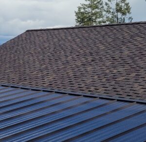 designer shingle on roof