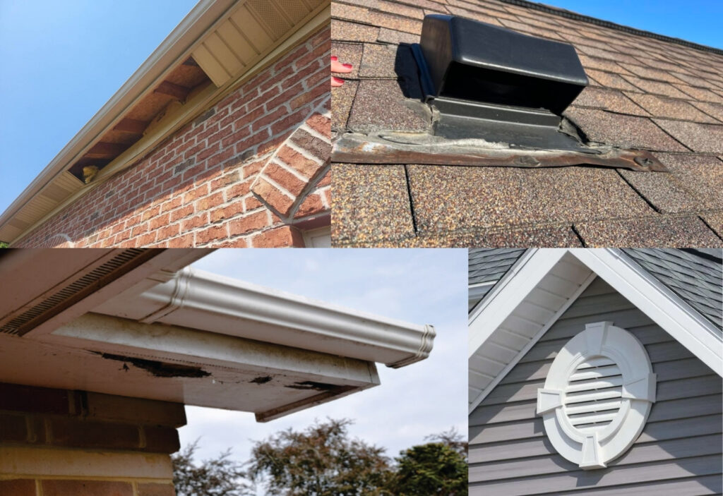 How to Keep Birds Out of Your Roof . Gable vents box vents soffit gaps damage soffits that will allow birds nest